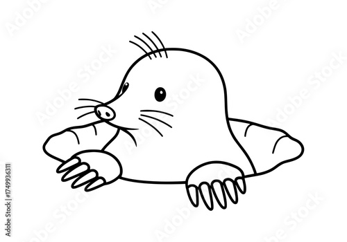Playful mole peeking out of its burrow, an adorable illustration perfect for children's books and educational materials, simple, cute, vector-based design