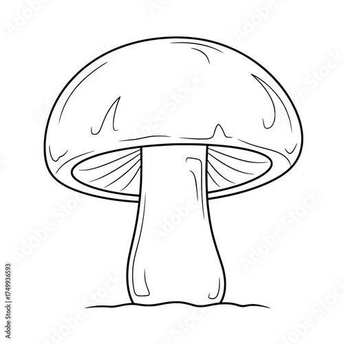 Simple mushroom outline drawing for coloring books or educational materials, a classic fungi illustration with natural appeal and vector design origin