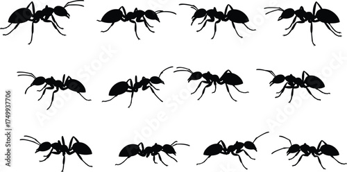 Collection of black ant silhouettes isolated on white background, realistic crawling insects vector set for nature, wildlife, pest control, and biology design concepts