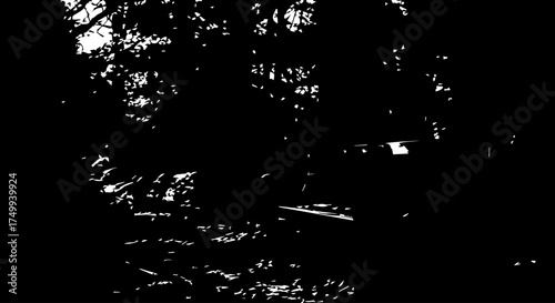 Abstract Black and White Forest Scene with Dense Foliage and Light Patches.