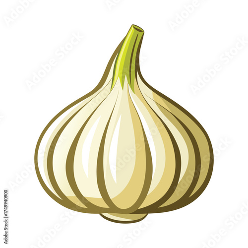 garlic isolated on white background