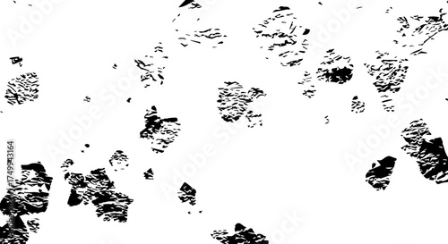 Abstract Black and White Textured Shapes Scattered Across White Background.