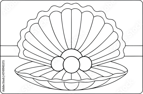 An open clam shell reveals three perfectly round pearls inside a wide bivalve mollusk