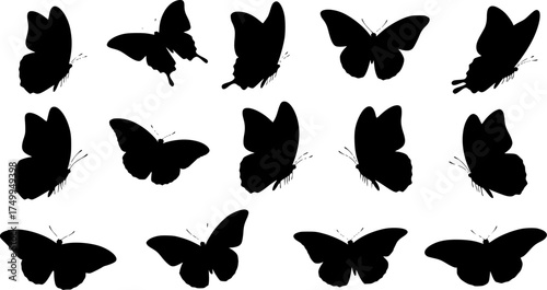 Flying butterfly silhouettes, Butterflies silhouette set