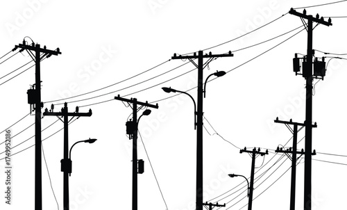 Silhouette of utility poles with transformers, streetlights, perched birds, power lines, electricity distribution, urban infrastructure, industrial landscape, high voltage grid