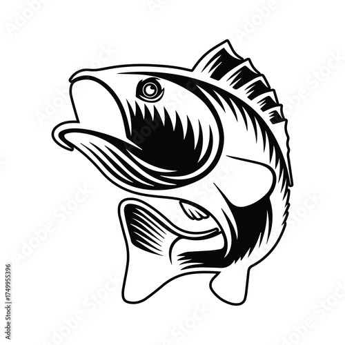 Fishing  Vector