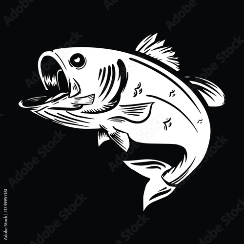 Fishing  Vector