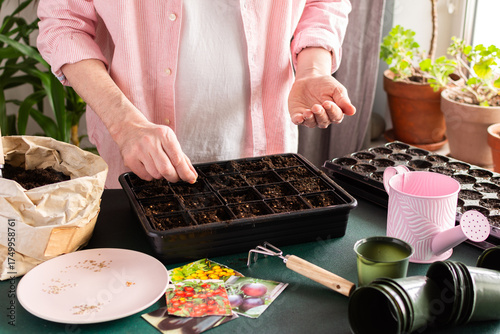 Tableau sur toile A man sows tomato seeds into a seed tray at home, surrounded by gardening tools and seed packets