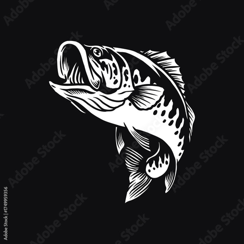 Fishing  Vector