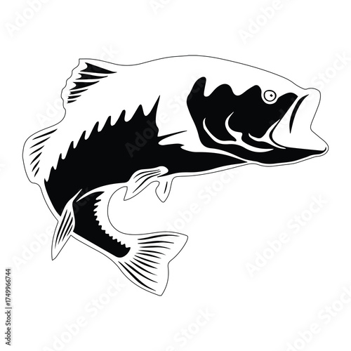 Fishing  Vector