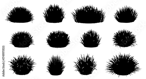 Silhouetted Collection of Various Bushy Grass Clumps in Black, Isolated on White.