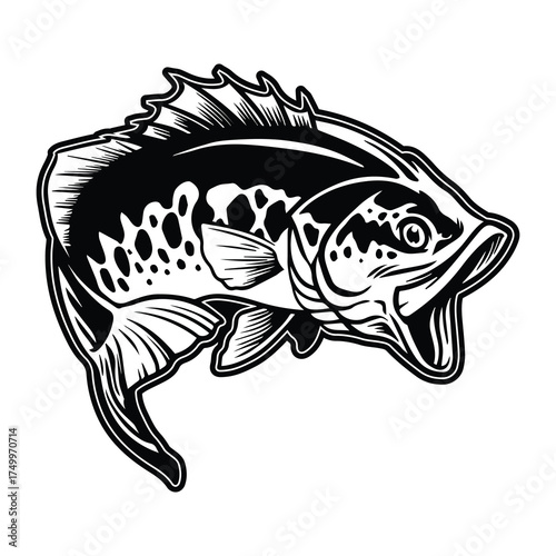 Fishing  Vector