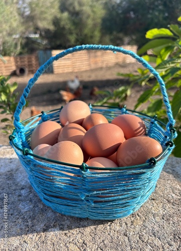 eggs in a basket