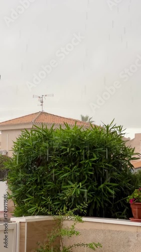 Fine rain streaks fall across a small backyard: dense bamboo hedge, cream stucco wall, and a terracotta pot with pink blooms under a grey sky. Fresh, calm mood of a passing shower