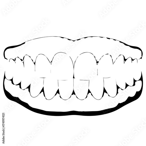 Simple Black and White Outline Illustration of Human Teeth and Gums.