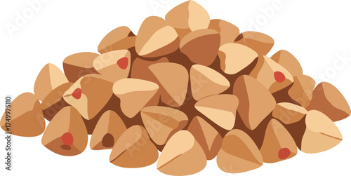 Pile of raw buckwheat groats healthy food ingredient isolated vector