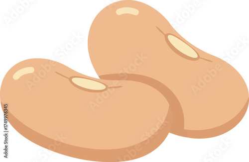 Simple illustration of two light brown beans vector