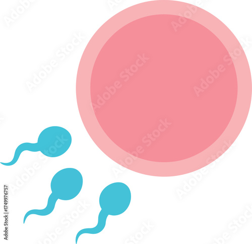 Fertilization concept sperm cell approaching ovum reproduction science medical vector