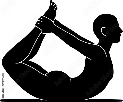 Dhanurasana: Bow Pose filled yoga silhouette of prone body arching upward with bent knees and hands holding ankles, chest and thighs lifted off floor, transparent vector for yoga, anatomy, flexibility