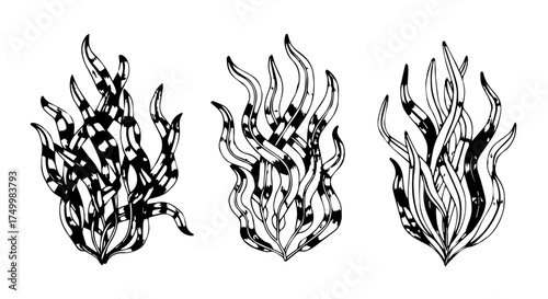 Three Stylized Black and White Flame Illustrations with Detailed Line Art.
