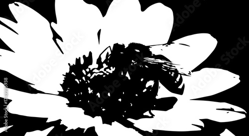 Black and White Close-up of a Bee Pollinating a White Flower.