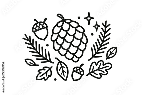 Pinecone Nature Doodle. Pinecone doodle vector with acorns, fir branches, leaves and stars isolated transparent background