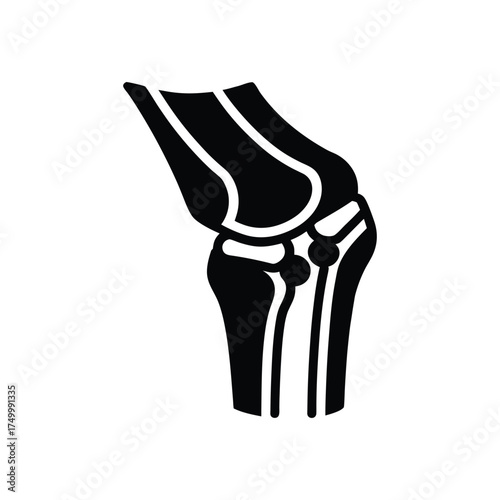 Knee joint anatomy silhouette icon vector art illustration