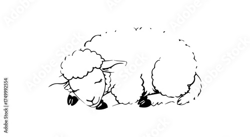 Black and White Line Art Illustration of a Sleeping Lamb.