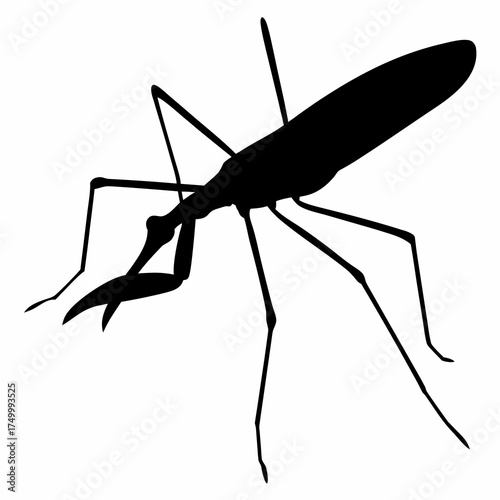 Mosquito Silhouette Vector Illustration
