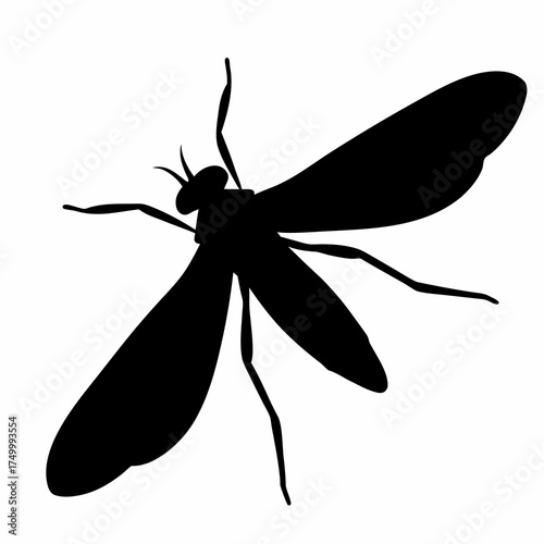 Insect Silhouette Vector Illustration