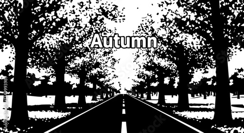Black and White Road Lined with Trees, Autumn Season Concept.
