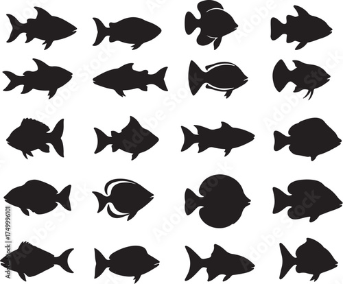 Silhouette Sea Animals Vector Set — Whale, Octopus, and Fish Collection