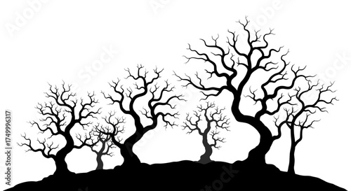 Silhouettes of bare deciduous trees form a spooky and eerie forest landscape against a bright sky suitable for halloween themes. isolated on white background
