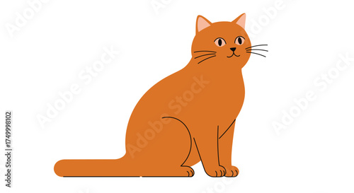 Adorable orange tabby cat sitting gracefully isolated on white studio background domestic pet photography for marketing and design isolated on white background