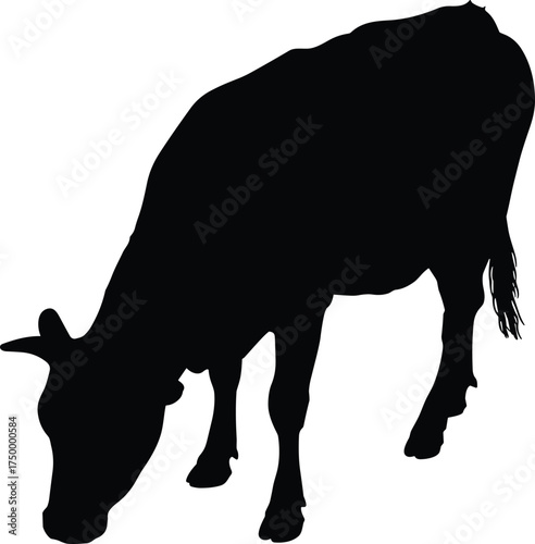 Silhouette cow grazing in field, livestock animal illustration, farm cattle design, agriculture concept, rural nature, dairy farming, vector art