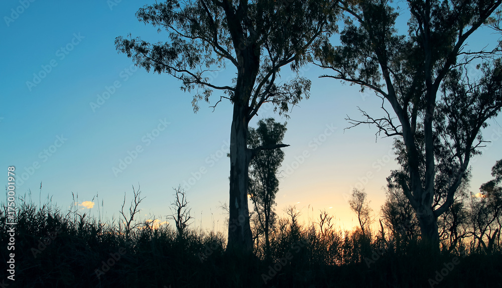 Fototapeta premium Whispers of Dusk