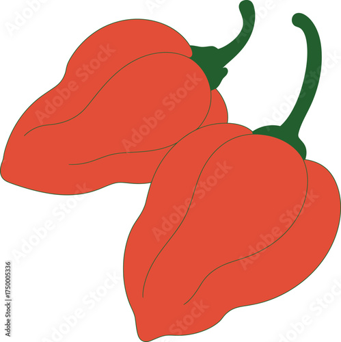 Two Hot Red Habanero Chili Peppers Vector