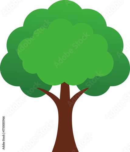 Illustration of green tree on transparent background