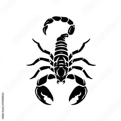 Black Scorpion Silhouette Vector Illustration. Dangerous Desert Arachnid Icon Design Element for Wildlife and Nature Concepts