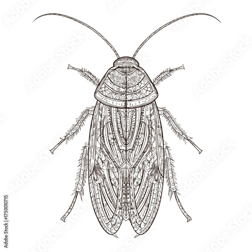 Delicate Applique Cockroach Embroidery Design