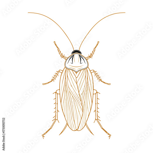 Elegant Cockroach Applique Line Art Design