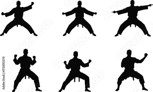 Martial arts silhouette, karate poses, self defense training, black belt stances, combat readiness, traditional uniform, fighting techniques, discipline