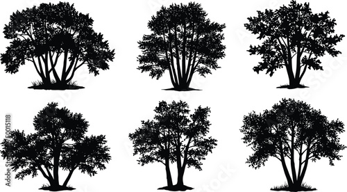  Collection of dense bushy tree silhouettes, natural foliage vector illustration, perfect for landscape design, forest art, nature, and environmental themed graphics
