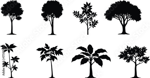  Collection of tropical and deciduous tree silhouettes, vector plant illustration for landscape design, nature theme, botanical art, and environmental graphic projects
