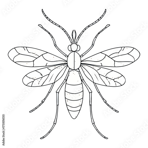 Mosquito applique line art for embroidery