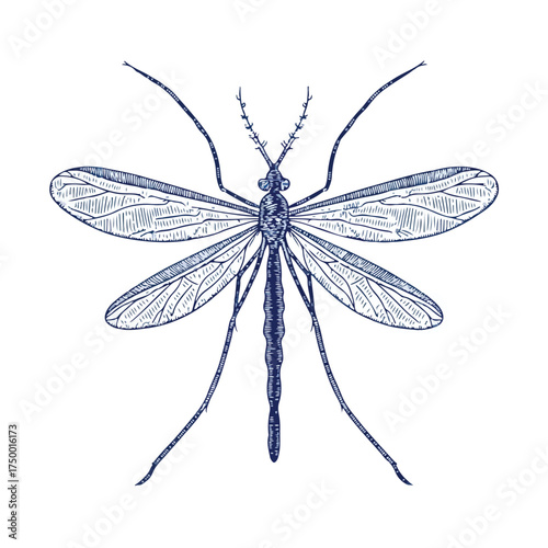 Intricate Applique Mosquito Embroidery Vector Art
