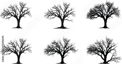  Leafless tree silhouette collection, winter forest vector set, detailed bare branches illustration, natural landscape element, black tree shapes for seasonal design projects