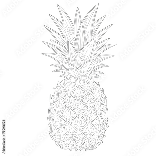 Pineapple Applique Line Art for Embroidery