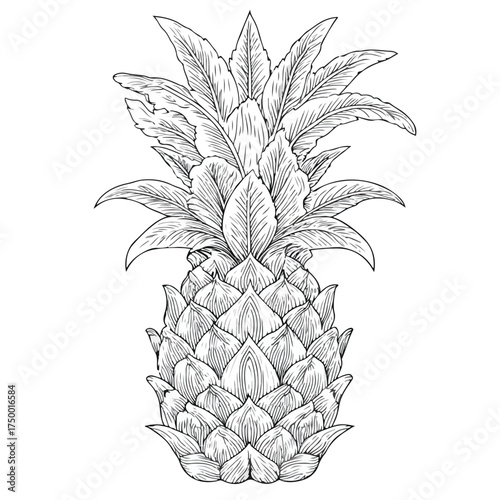 Stylized Pineapple Embroidery Vector Design