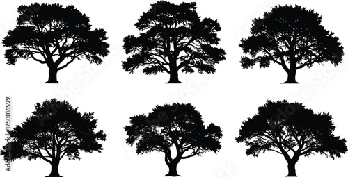  Silhouette trees collection, black tree shapes, natural forest design, isolated oak tree illustration, landscape decoration, nature elements, vector art bundle